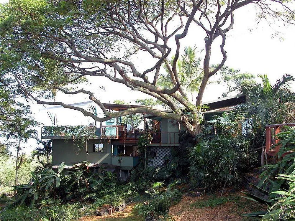 Dragonfly Ranch Bed & Breakfast & Eco-Spa Honaunau-Napoopo
