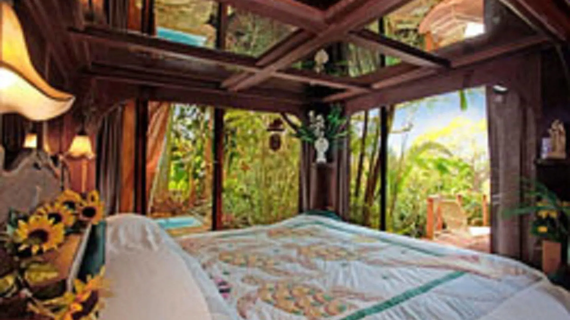 Dragonfly Ranch Bed & Breakfast & Eco-Spa Honaunau-Napoopo United States