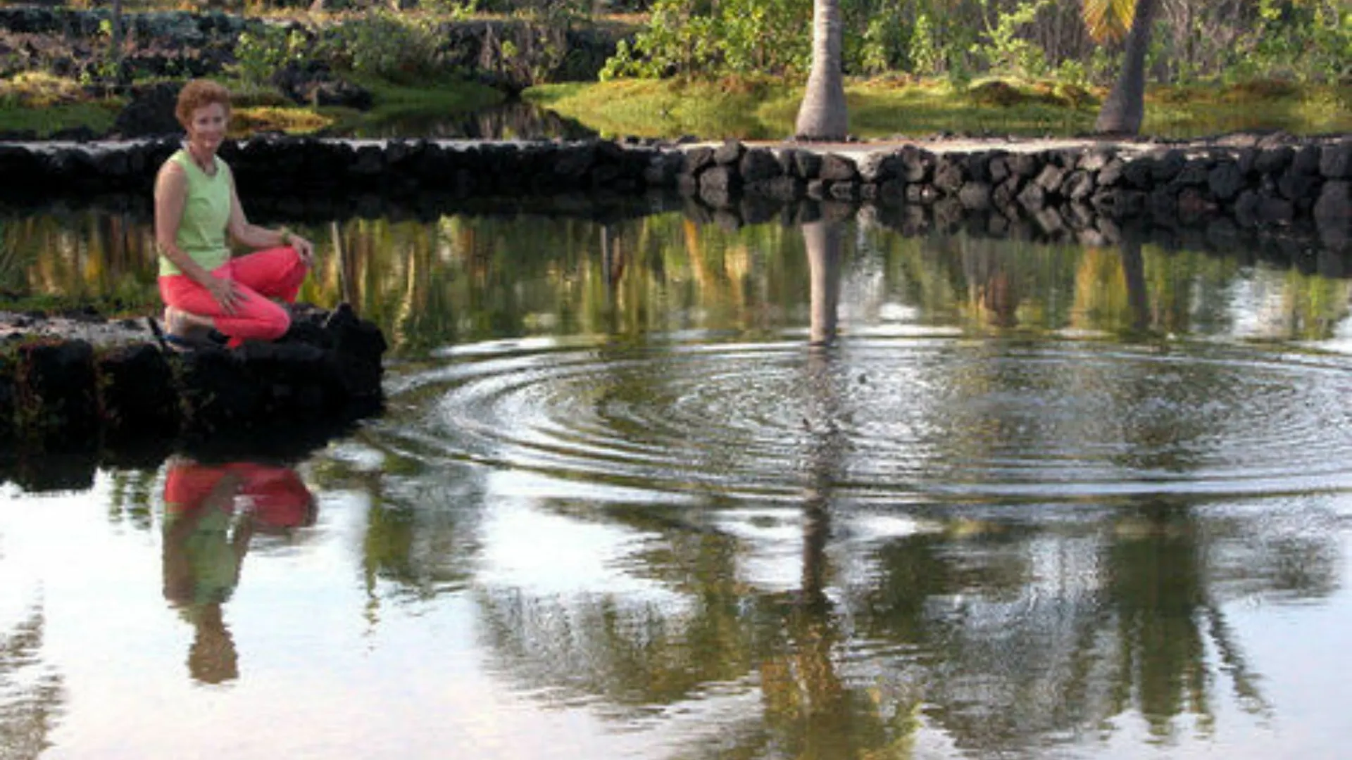 Dragonfly Ranch Bed & Breakfast & Eco-Spa Honaunau-Napoopo